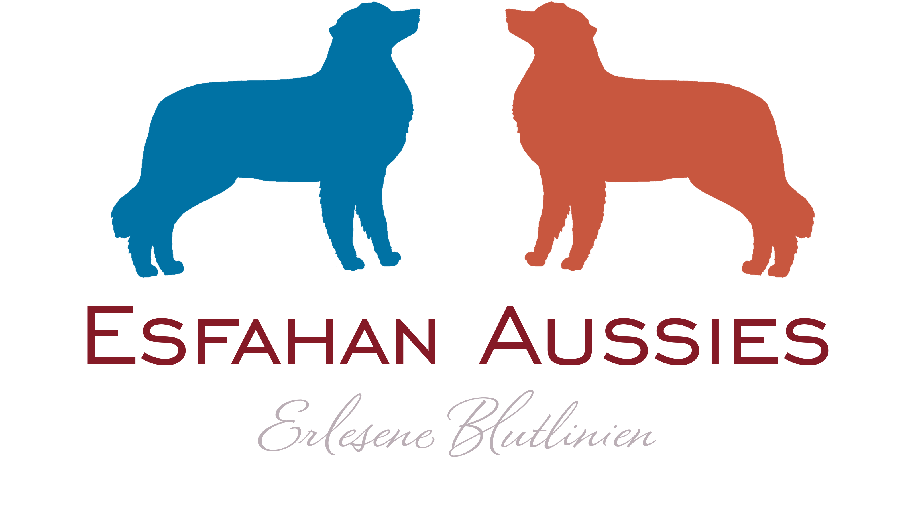Esfahan Aussies